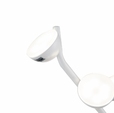 Cumpăra Aplică LED cu plafoane mate rotunjite pe suport ramificat. LP4012-1W Paw la Rafi Decor